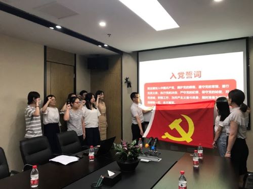 公司第一黨支部、第二黨支部分別召開黨員大會(huì)暨“不忘初心，牢記使命”主題教育專題黨員活動(dòng)日