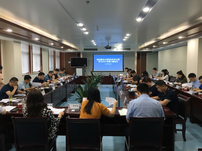皖投置業(yè)公司召開2021年第八期黨總支中心組學(xué)習(xí)