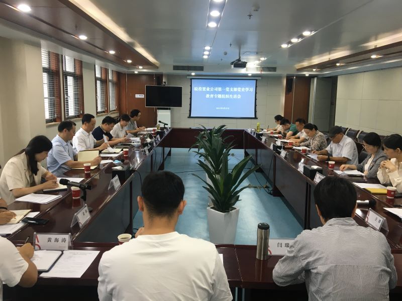 皖投置業(yè)公司第一黨支部召開黨史學(xué)習(xí)教育專題組織生活會