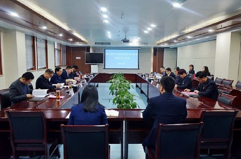 皖投置業(yè)公司組織召開黨史學(xué)習(xí)教育專題民主生活會