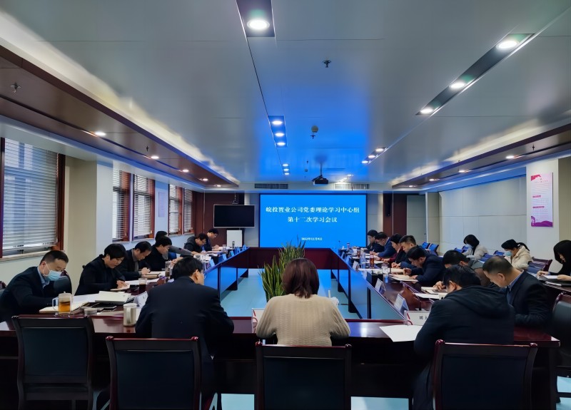 皖投置業(yè)公司召開(kāi)黨委理論學(xué)習(xí)中心組2022年第十二次學(xué)習(xí)會(huì)議
